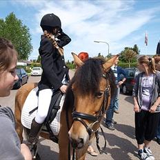 Anden særlig race Spirit <3