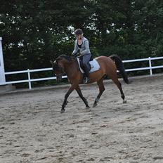 Anden særlig race Lucky