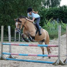 Anden særlig race Golden Lady ''solgt'' <3