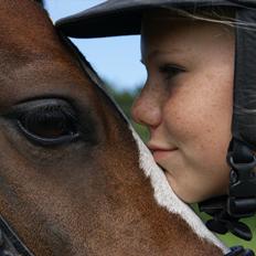 Welsh Pony (sec B) Søborggårds Romance *part* :D <3