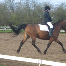 Anden særlig race philina