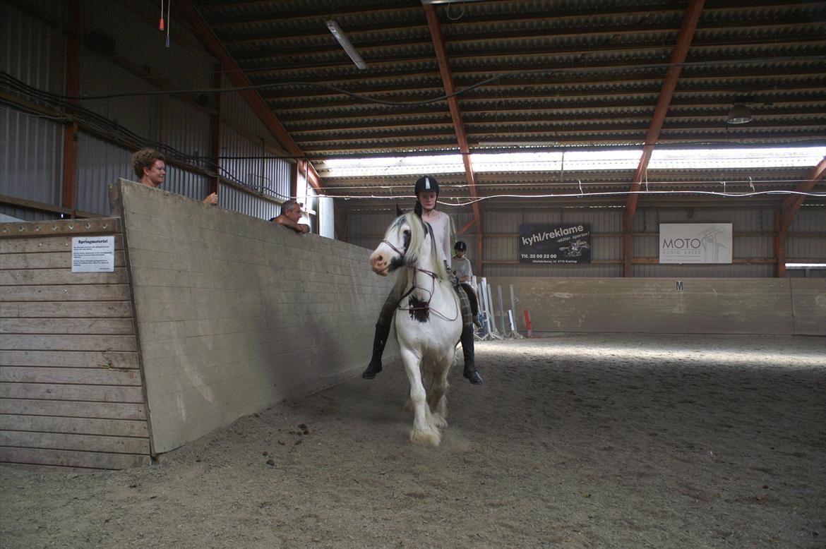 Tinker Disney - min bedste ven [Solgt] billede 18