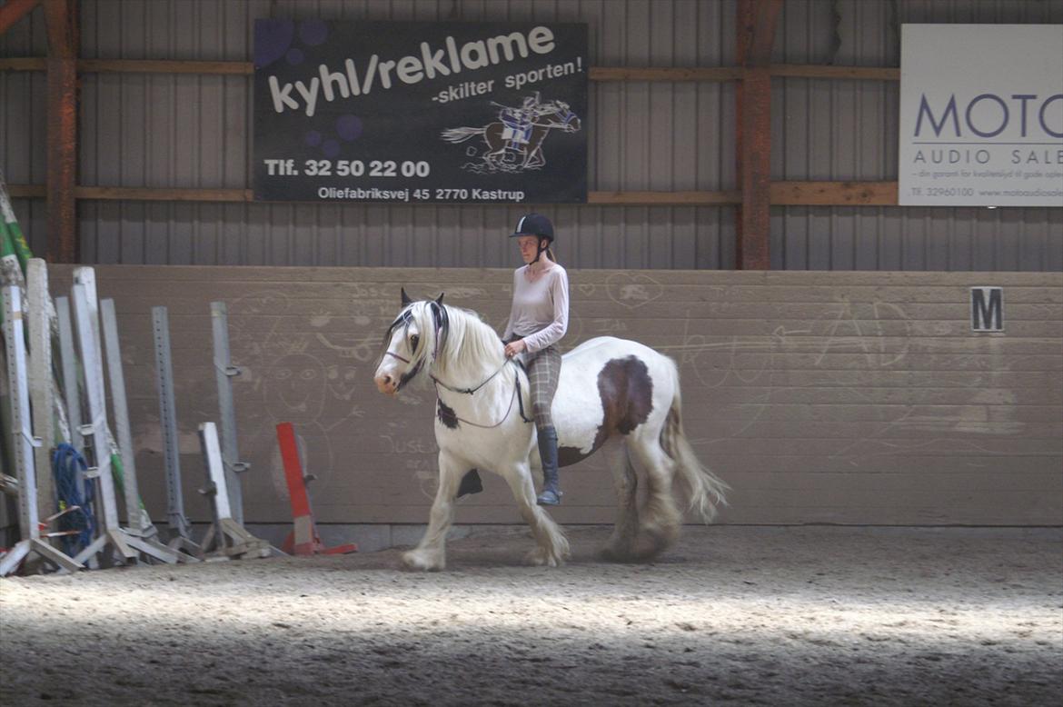 Tinker Disney - min bedste ven [Solgt] billede 19