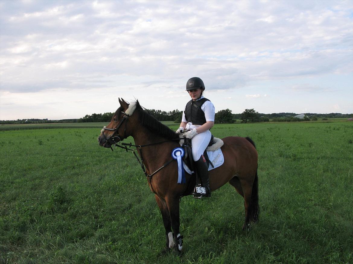 Belgisk Sportspony * Donna Van Stevenshof * - 2.plads i lb** ud af 20ca.  billede 16