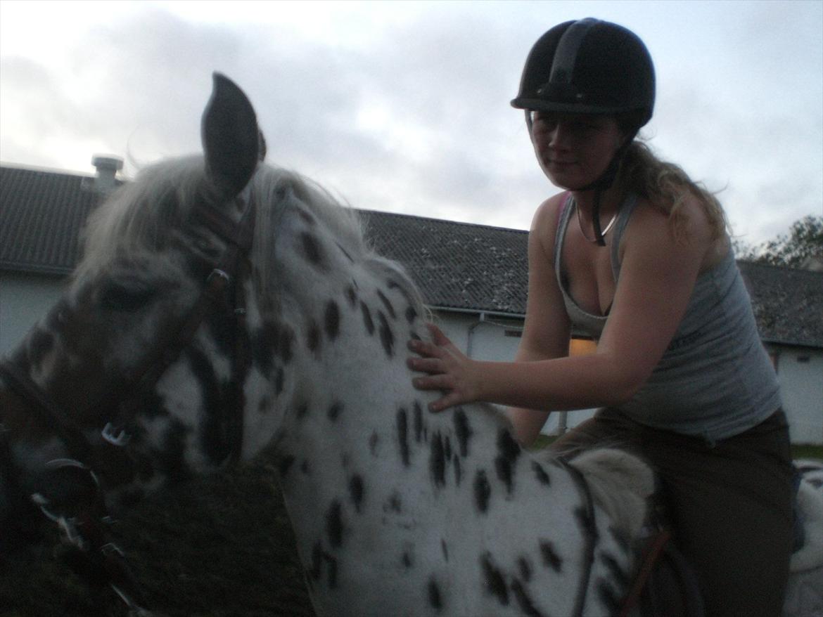 Anden særlig race Hot Spot billede 12