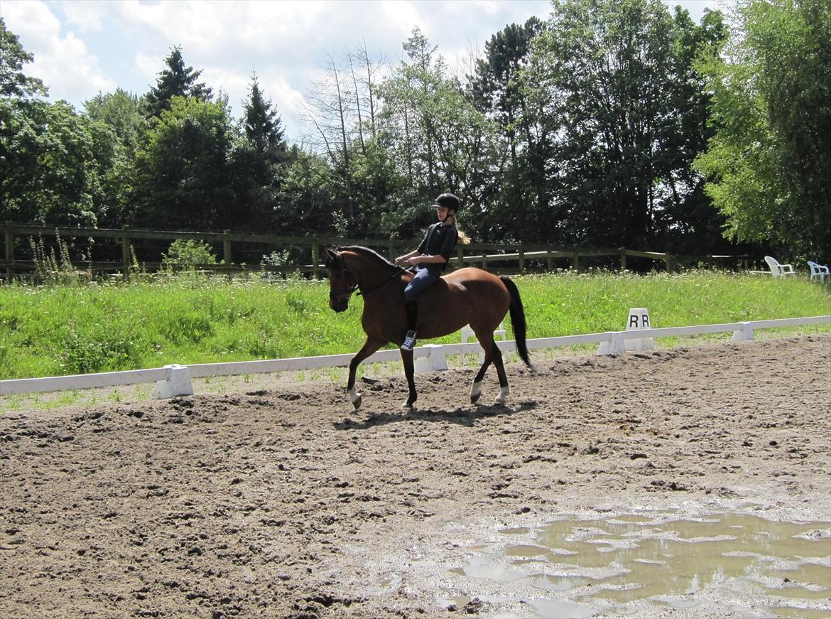 Anden særlig race Frk. Smilla<3 ~savnet~ - Nr. 8. <3
Foto: alberte billede 8