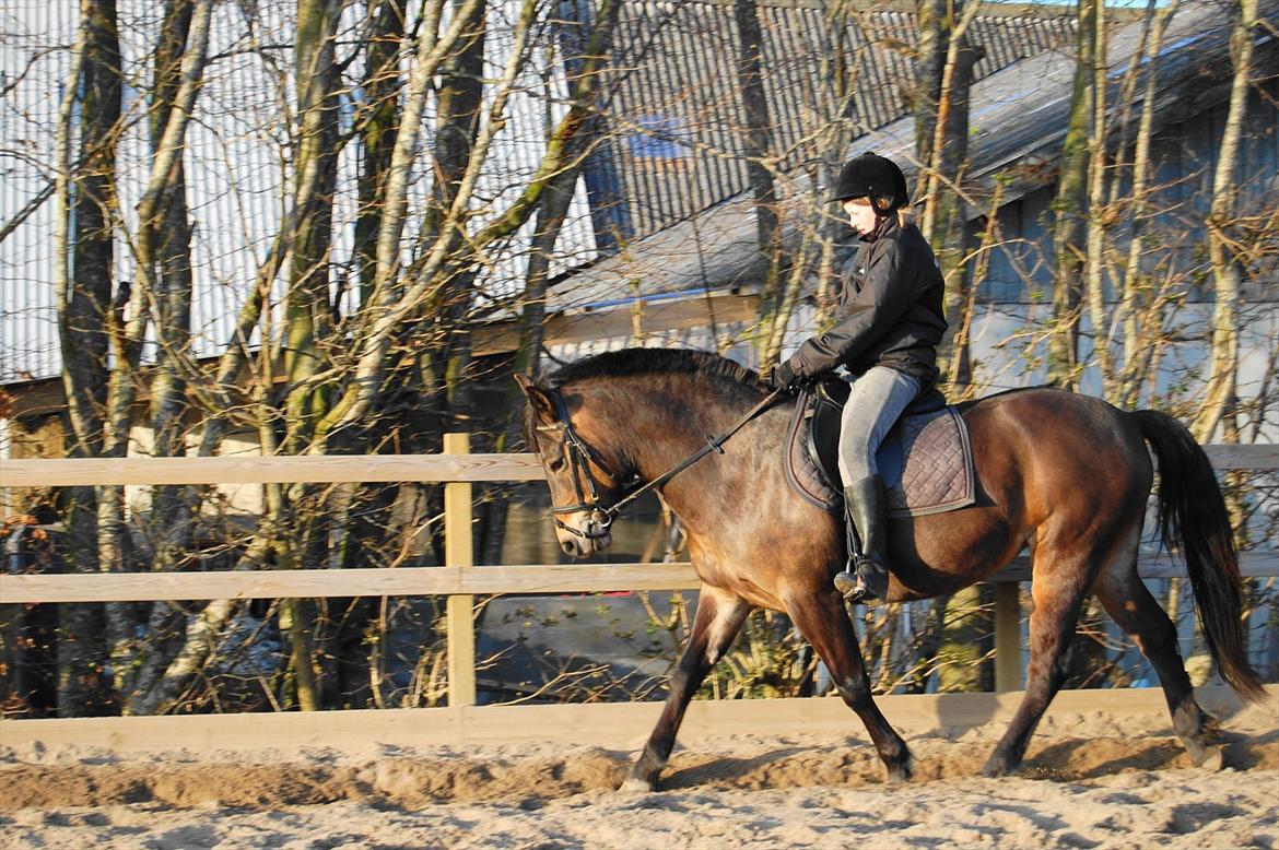 Anden særlig race pyxis - Pyxis og jeg... Fra 2008 :D<3 billede 17