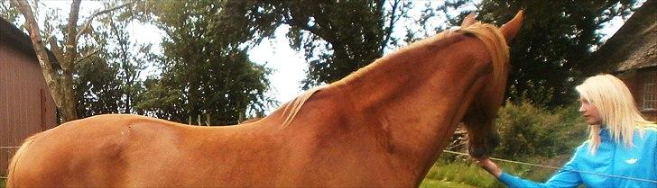 Frederiksborg Niki billede 17