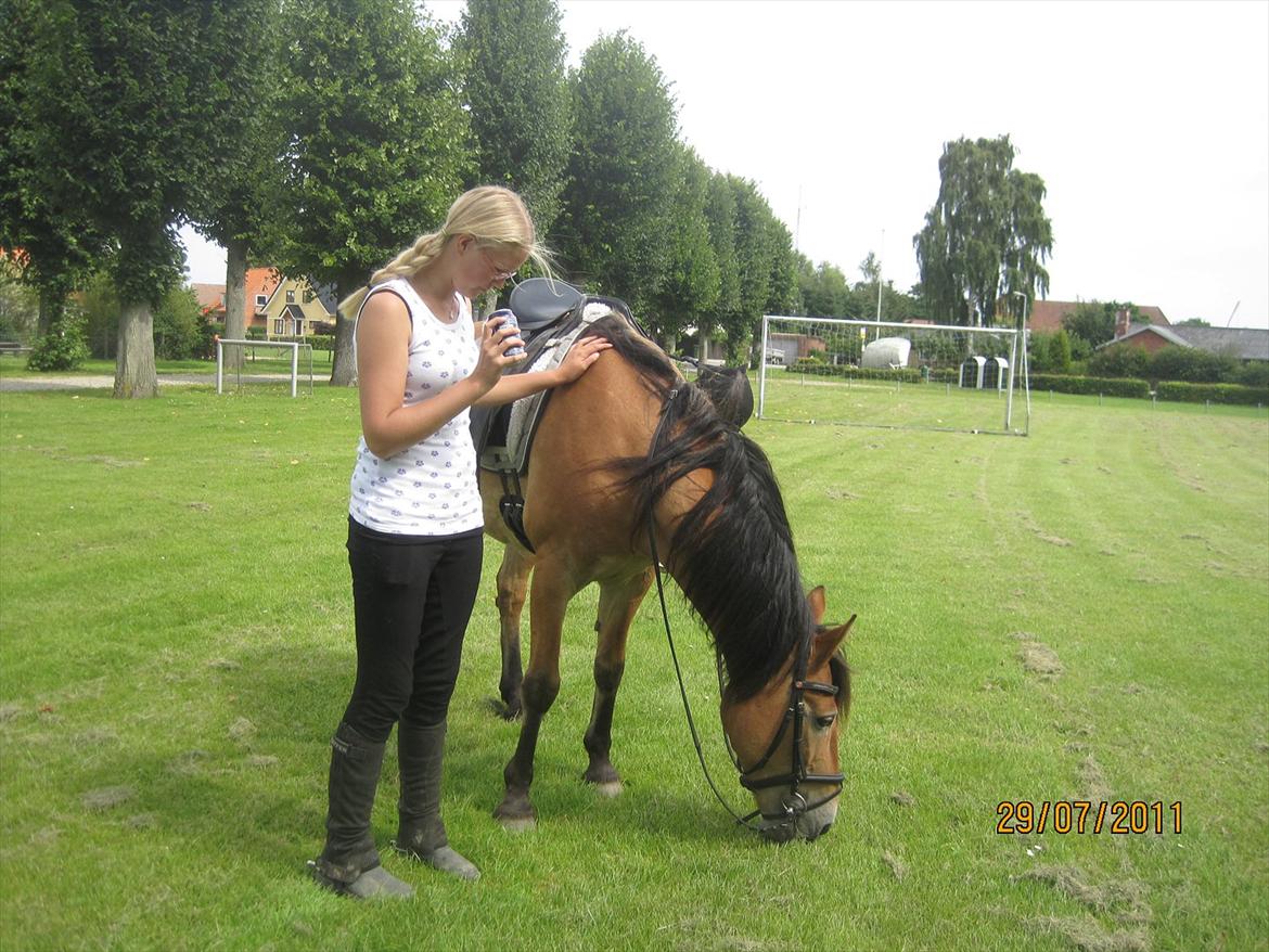 Anden særlig race Don Vito <3 Min gammle pony<3 - ii Rynkeby <3 billede 12