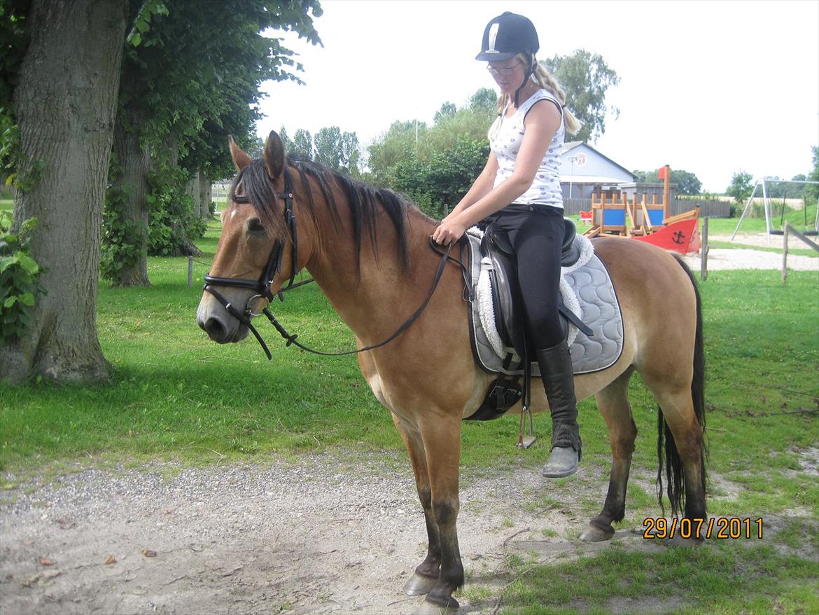 Anden særlig race Don Vito <3 Min gammle pony<3 - ii Rynkeby <3 billede 13