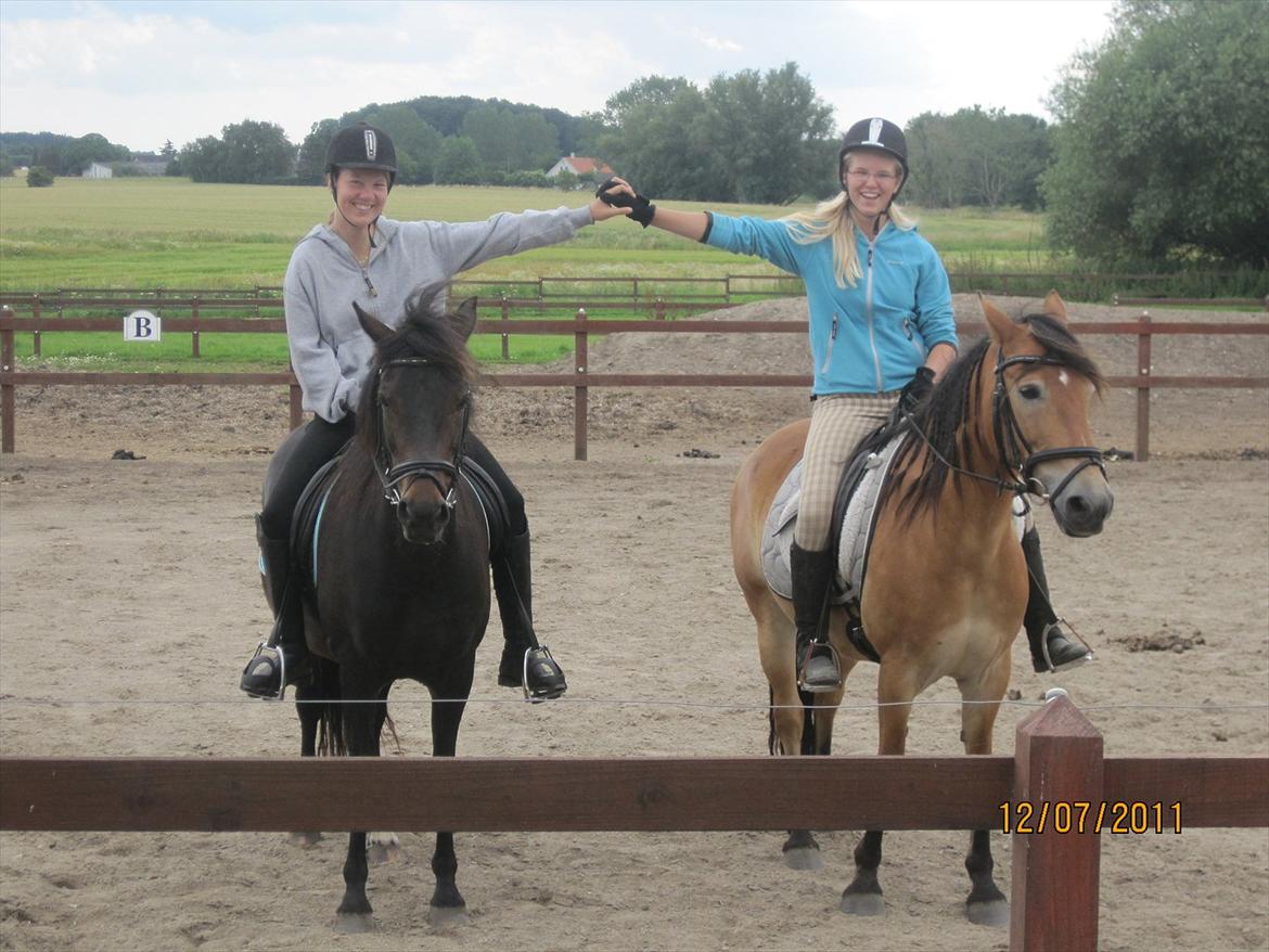 Anden særlig race Don Vito <3 Min gammle pony<3 - Samm' med Rikke & Roma! :) <3 billede 14