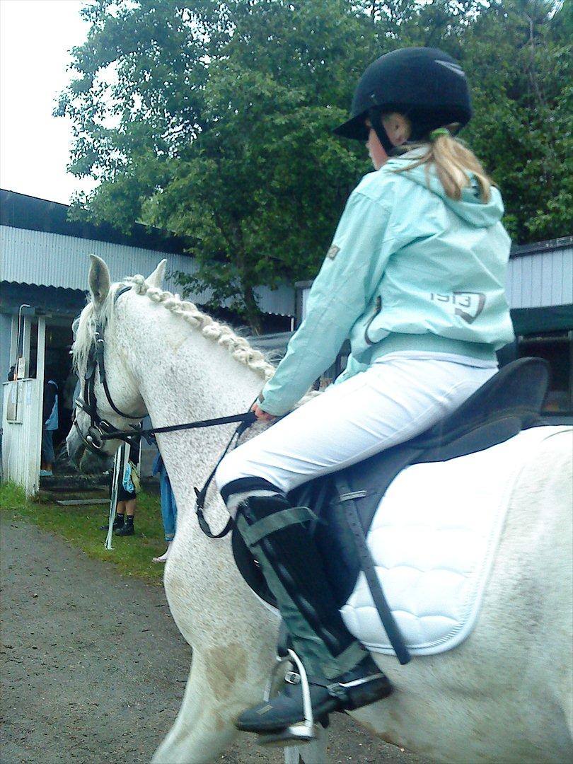 Connemara Blue  billede 1