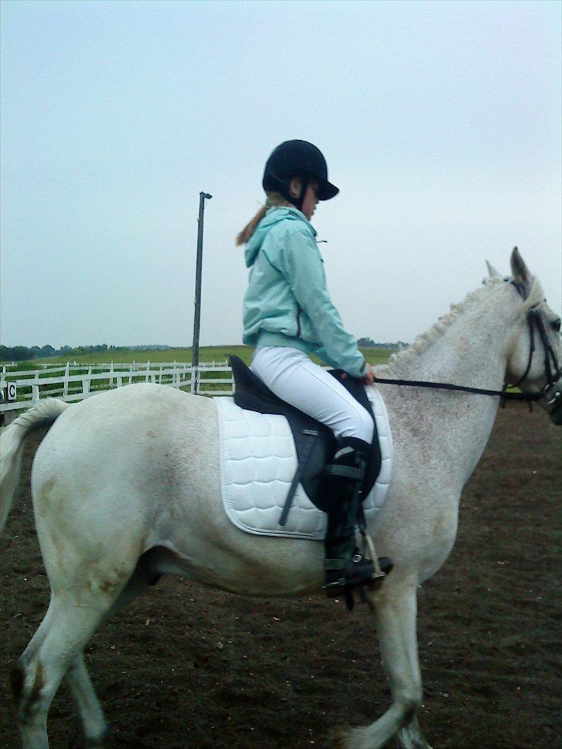 Connemara Blue  - Mig og Blue er til stævne på stald rosenkilde 
MÅ IKKE KOPIRES billede 3