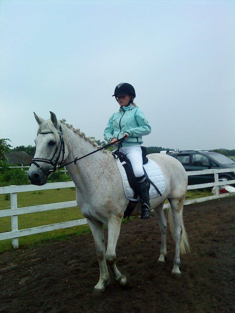 Connemara Blue  billede 4