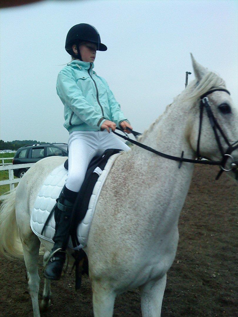 Connemara Blue  billede 5