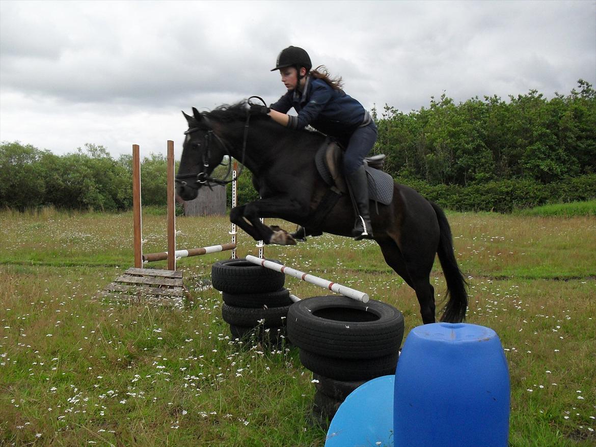 Anden særlig race Rose *REGIONSMESTER 2010* - Lidt spring derhjemme - 90 cm ;) billede 15