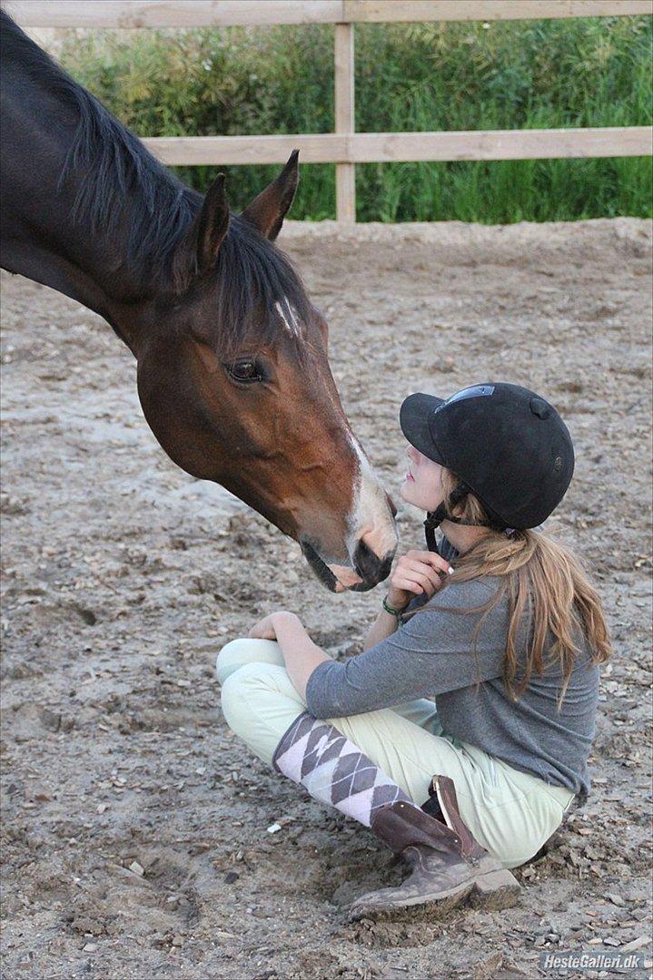 Anden særlig race | Bob - FOTO: Sissel Hauge| billede 17