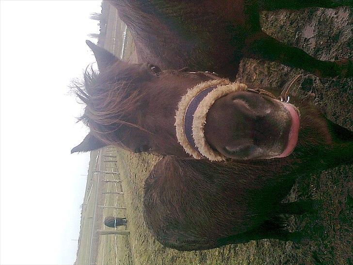 Anden særlig race Filur <3  - Foto: Mor  billede 9