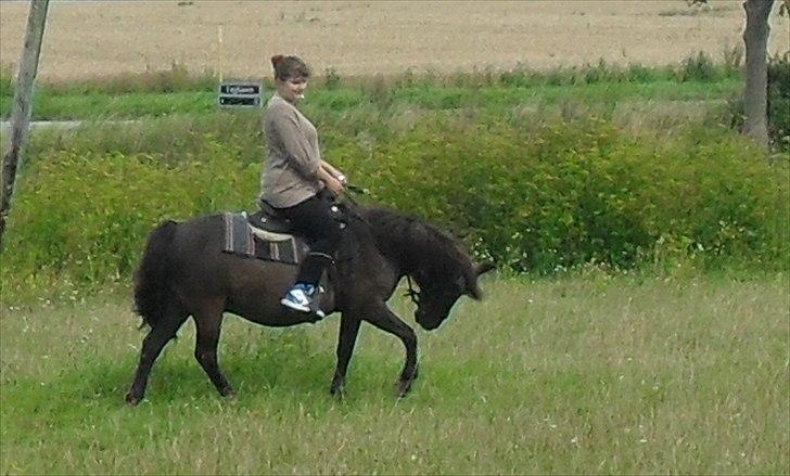 Anden særlig race Filur <3  - Foto: Far billede 13