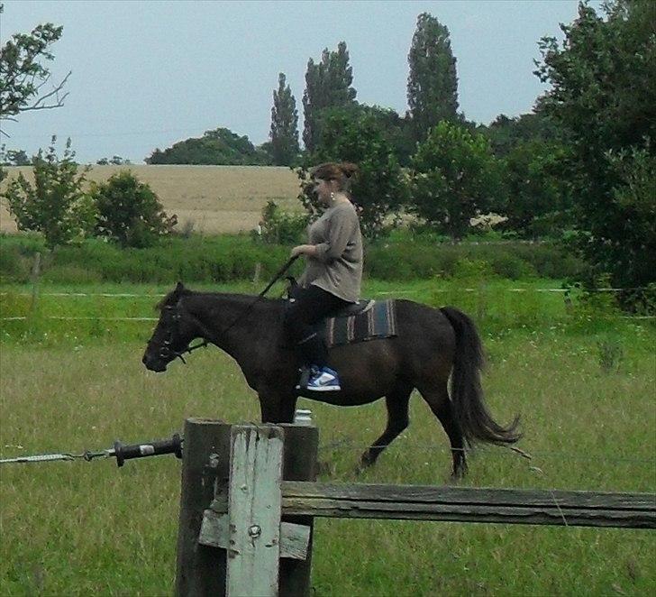 Anden særlig race Filur <3  - Foto: Far billede 14