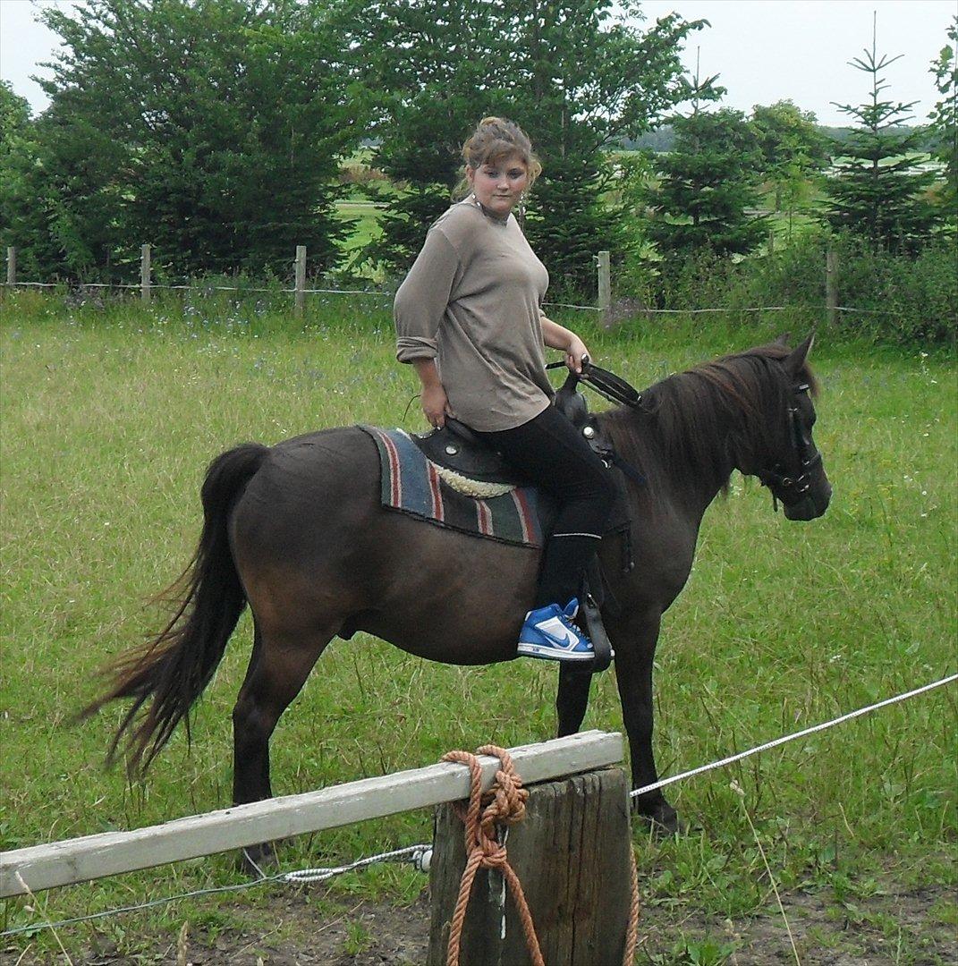 Anden særlig race Filur <3  - Foto: Far billede 15