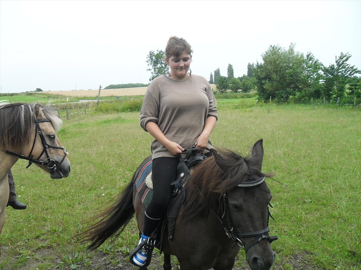 Anden særlig race Filur <3  billede 19