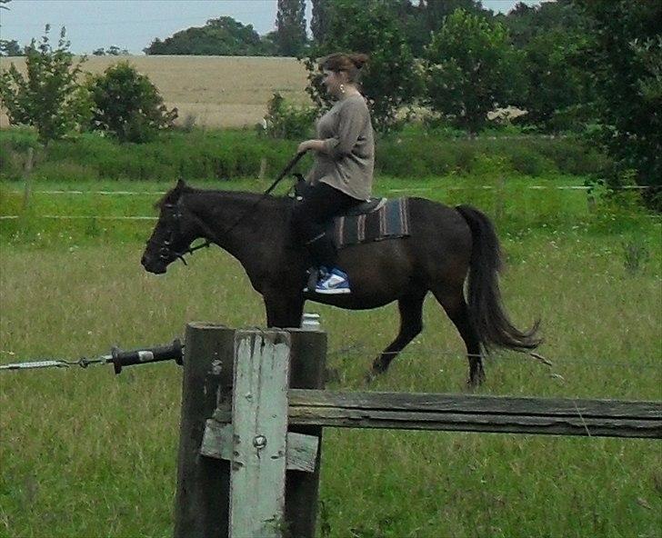 Anden særlig race Filur <3  billede 20