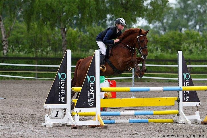 DSP Flying Rex - 5) C-stævne på Kongelunde  Sportsrideklub, LA*, 2011. FOTO: CT-Foto billede 5