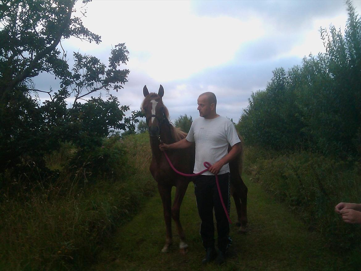 DSP Bentzens Baloo - ude og gå tur billede 13