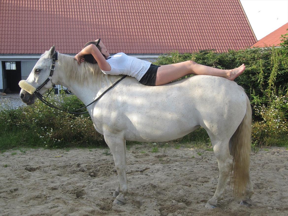 Anden særlig race Osanna  - Åh.. vi trængte til en pause ;-) ej vi lavede 'øvelser' med Christian :) (min fætter på 24) og hygge :-) = ligge på hende x)<3 Dæææjligt<3 billede 11