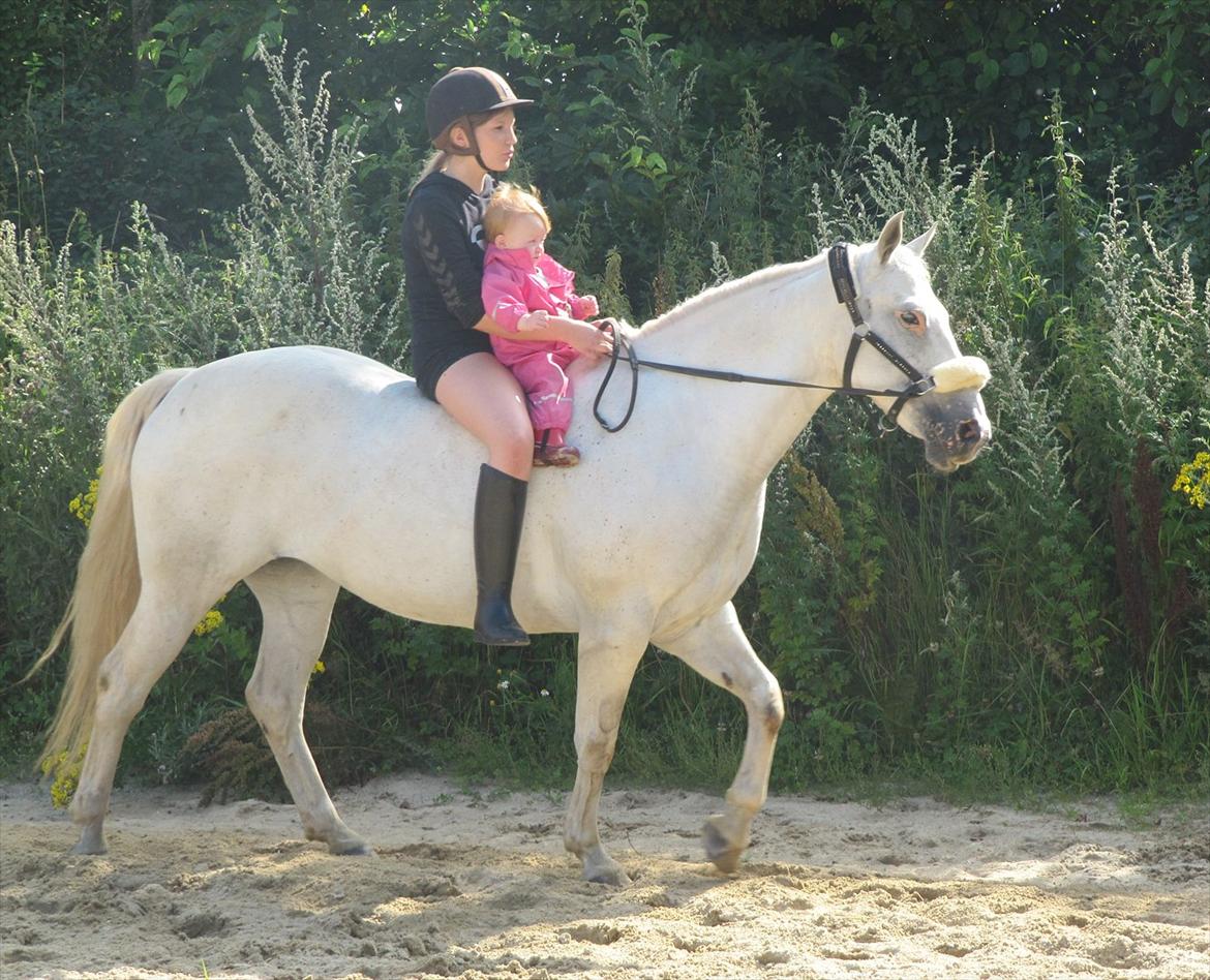 Anden særlig race Osanna  - Osanna med lille Isabella på ryggen :-) - Og så mig ;) <3  billede 13