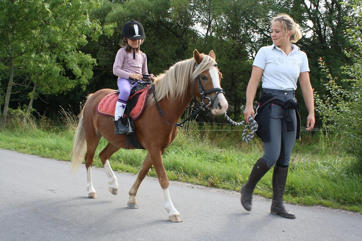 Welsh Mountain (sec A) Nordentoft's Cloé - Jasmin og Cloé på deres første ridetur billede 3