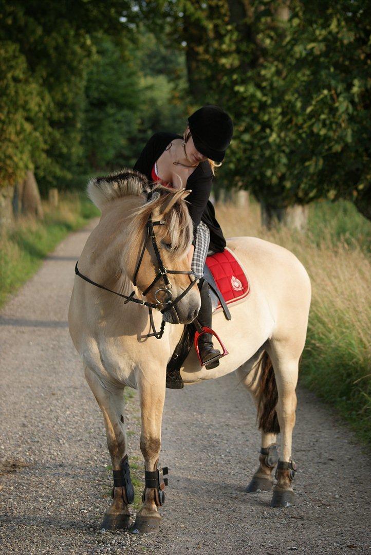 Anden særlig race Cognac - ét billede siger mere en 1000 ord..<3
Jeg elsker dig<3 billede 17