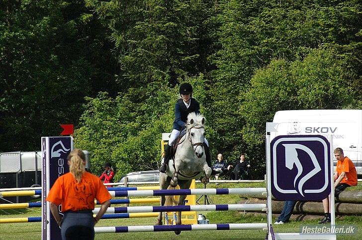 Connemara Sdr. Vestermark Carreen  - mig og carreen i Billund-11 sjm billede 19