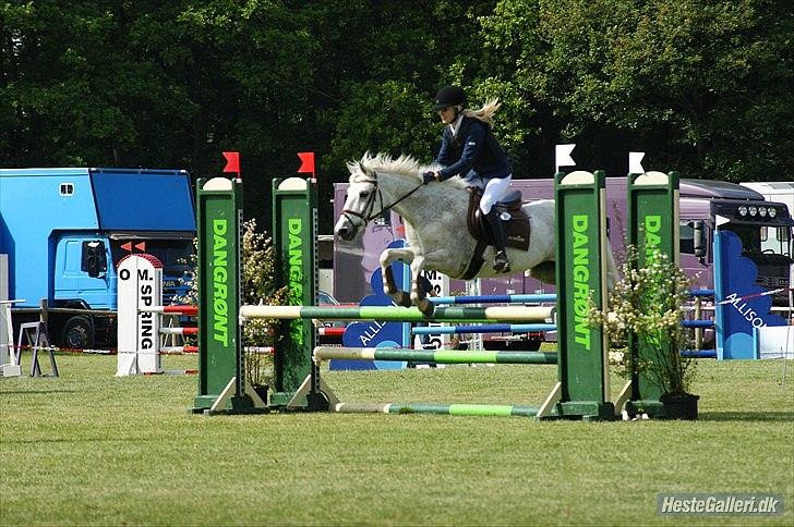 Connemara Sdr. Vestermark Carreen  - mig og carreen i Billund sjm-11 billede 20