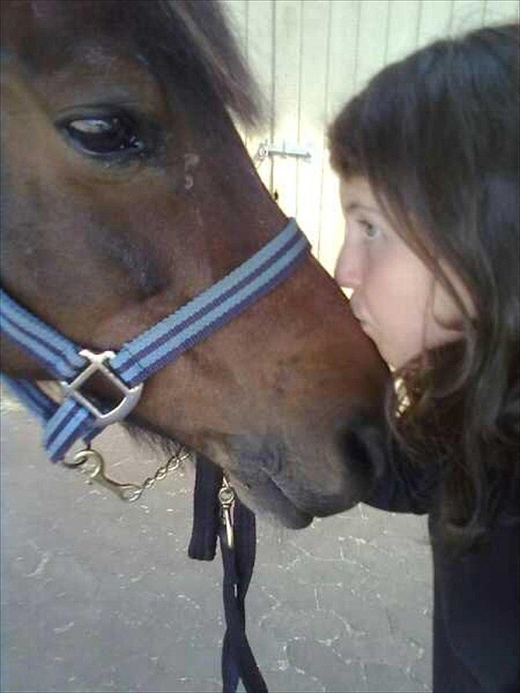 Anden særlig race Lady billede 5