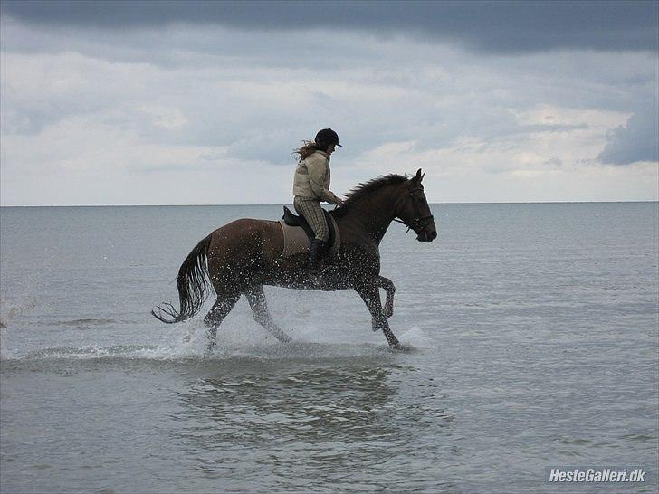 Frederiksborg Santos billede 11
