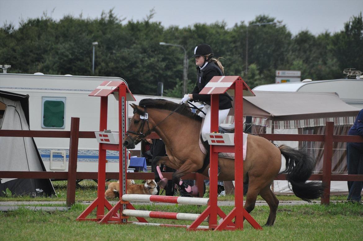 Anden særlig race Muldeberg *EUR* - Spring i LE'en. Vi fik en 6 plads! :D Ponyuge 2011. Sommer 11. Foto: Stine S. billede 15