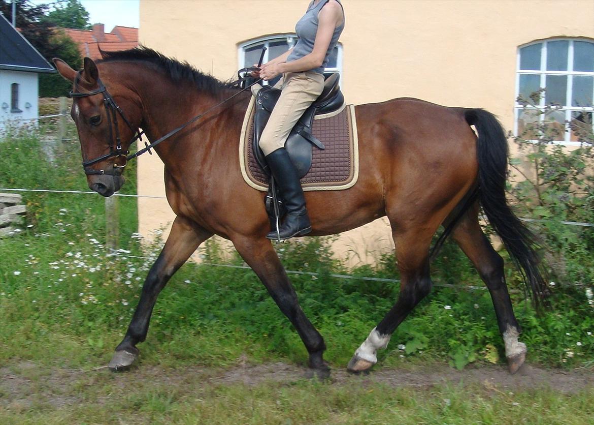 Oldenborg Batman Nygaard billede 2