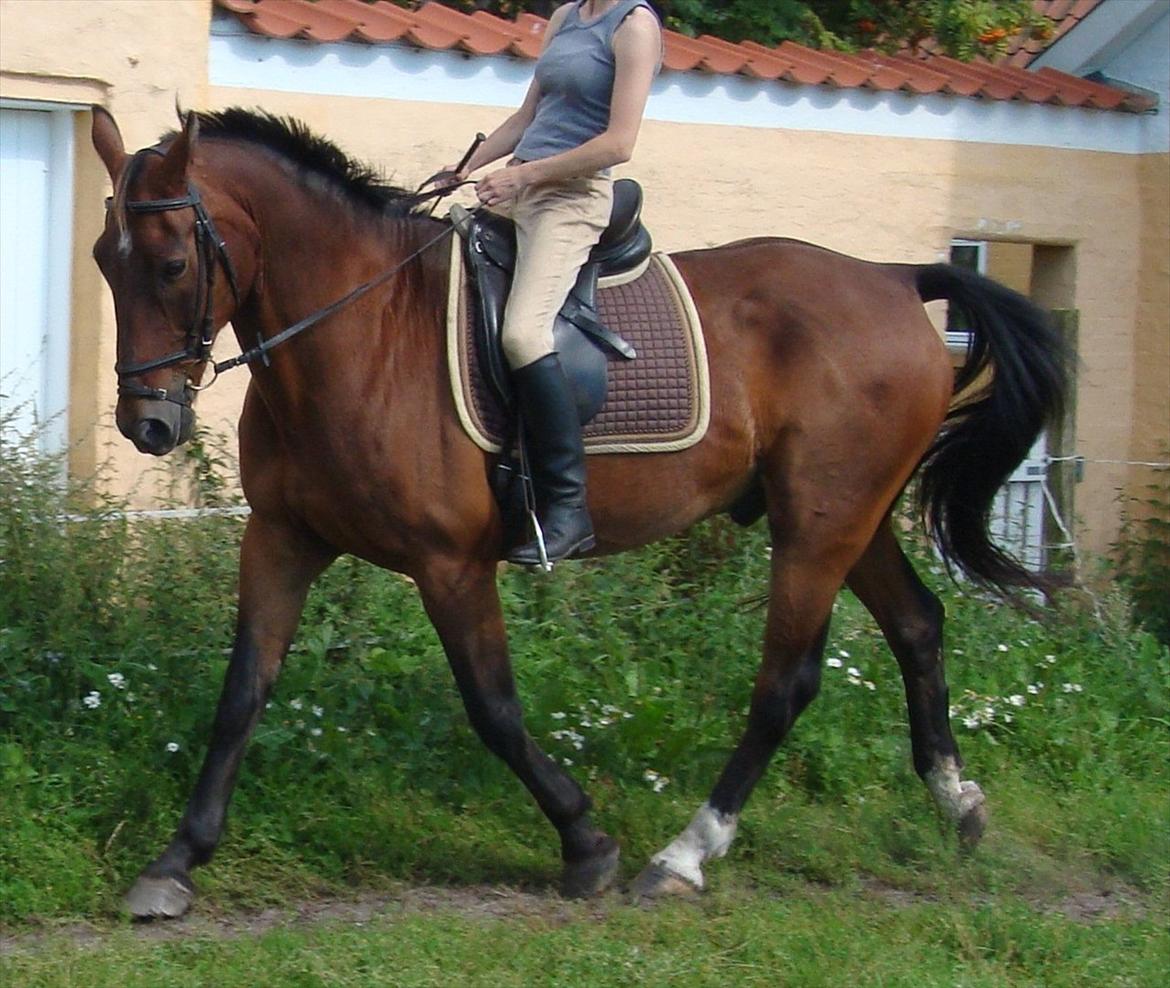 Oldenborg Batman Nygaard billede 12