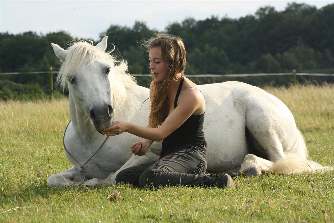 Connemara - Baloo <3 ! - Min dejlige pony.. Juli 2011 billede 2