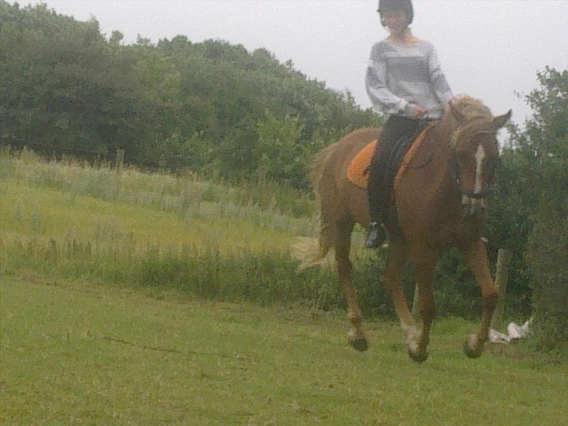 DSP Robin - Alle benene i luften!<3 Vi er kommet så langt!:* billede 20