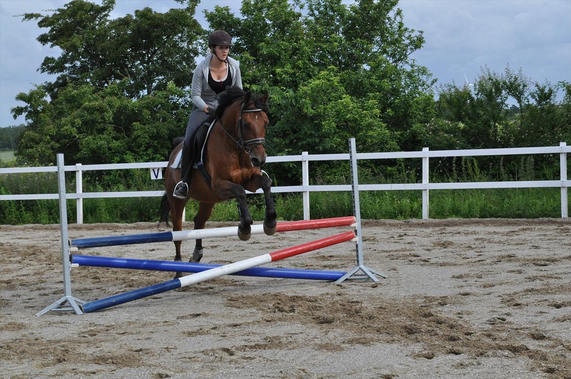 Anden særlig race Lucky billede 14