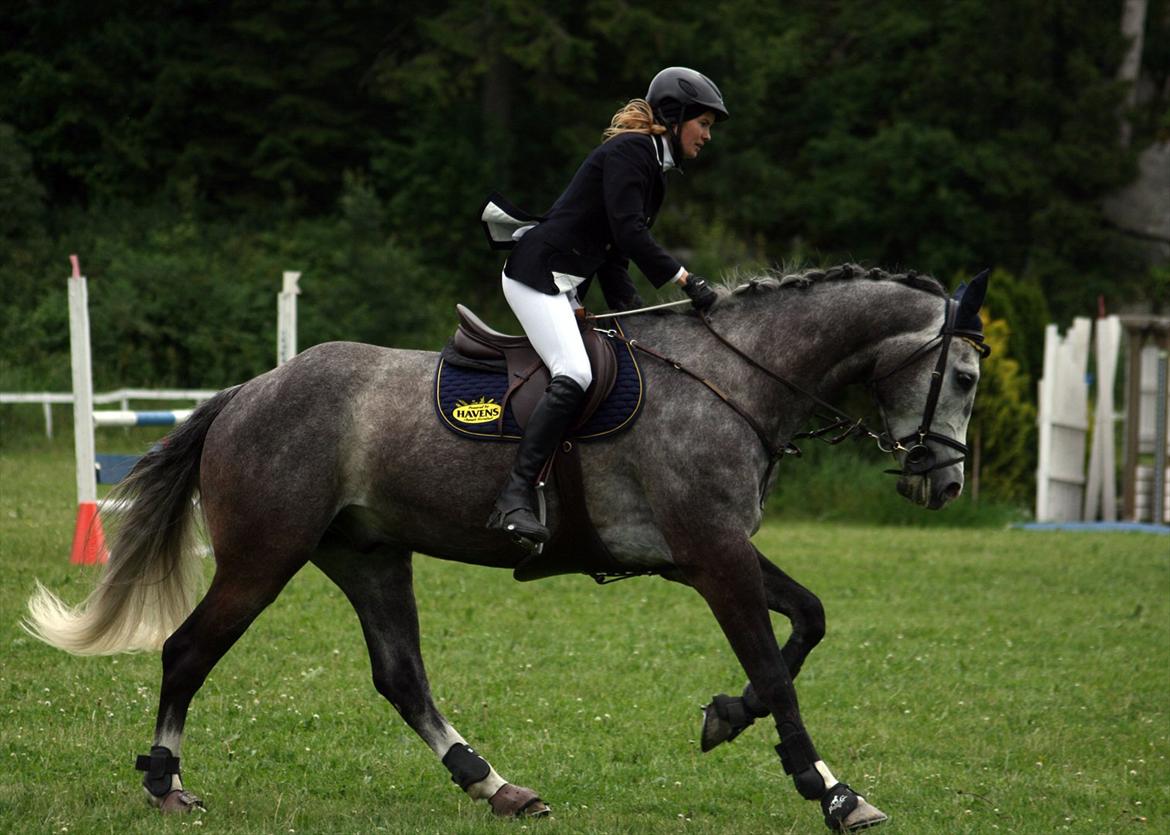 Dansk Varmblod Ågaards Corcentus (Tussi) - Tussi til distriktsstævne på Brunla sommer 2011 billede 5