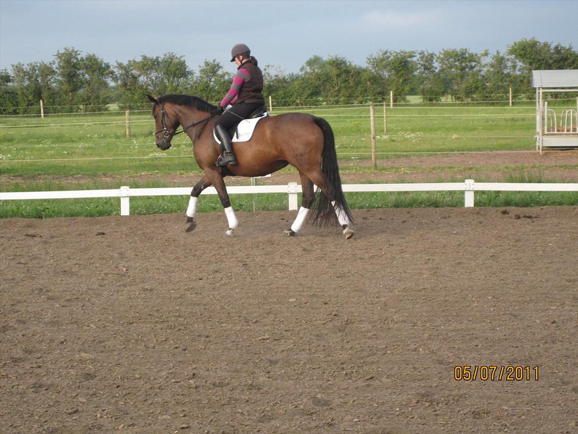 Oldenborg Clarissa billede 3