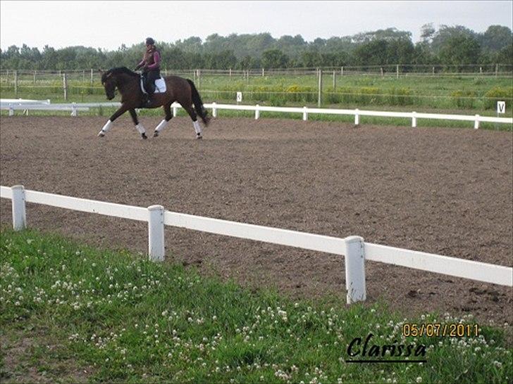 Oldenborg Clarissa billede 4