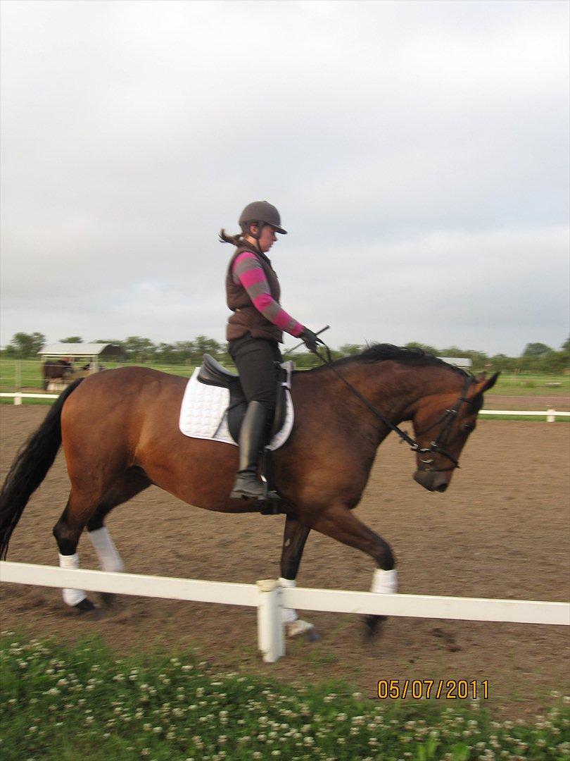 Oldenborg Clarissa billede 5