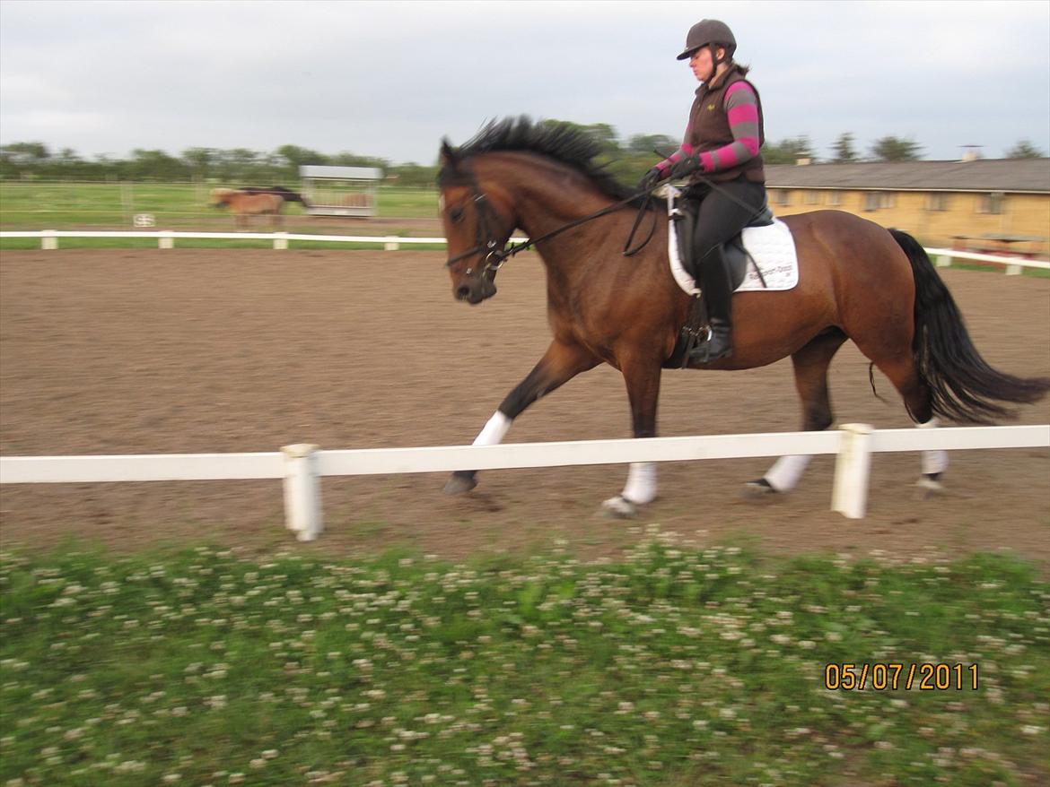 Oldenborg Clarissa billede 6