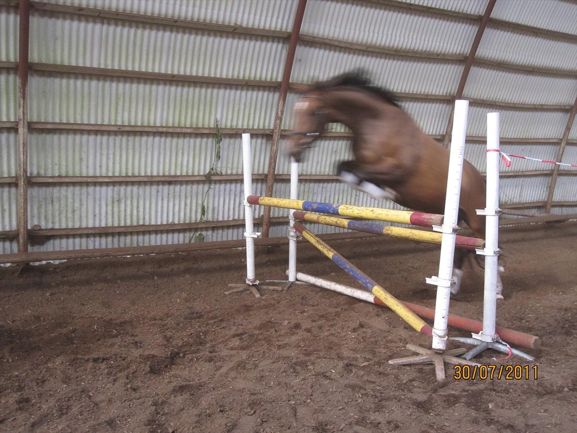 Oldenborg Clarissa billede 7