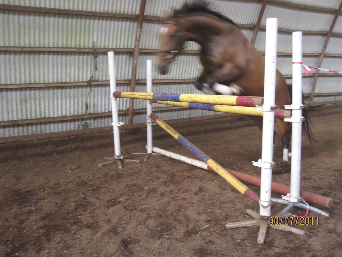 Oldenborg Clarissa billede 9